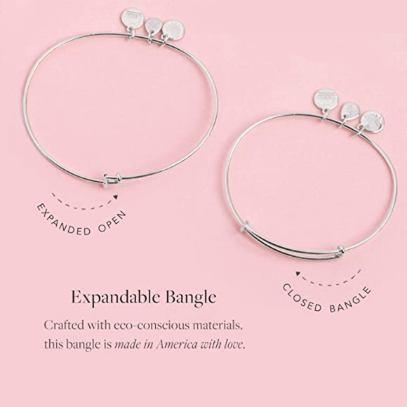 NWT, Alex and Ani Made of Honor Bangle Bracelet - Picture 4 of 7
